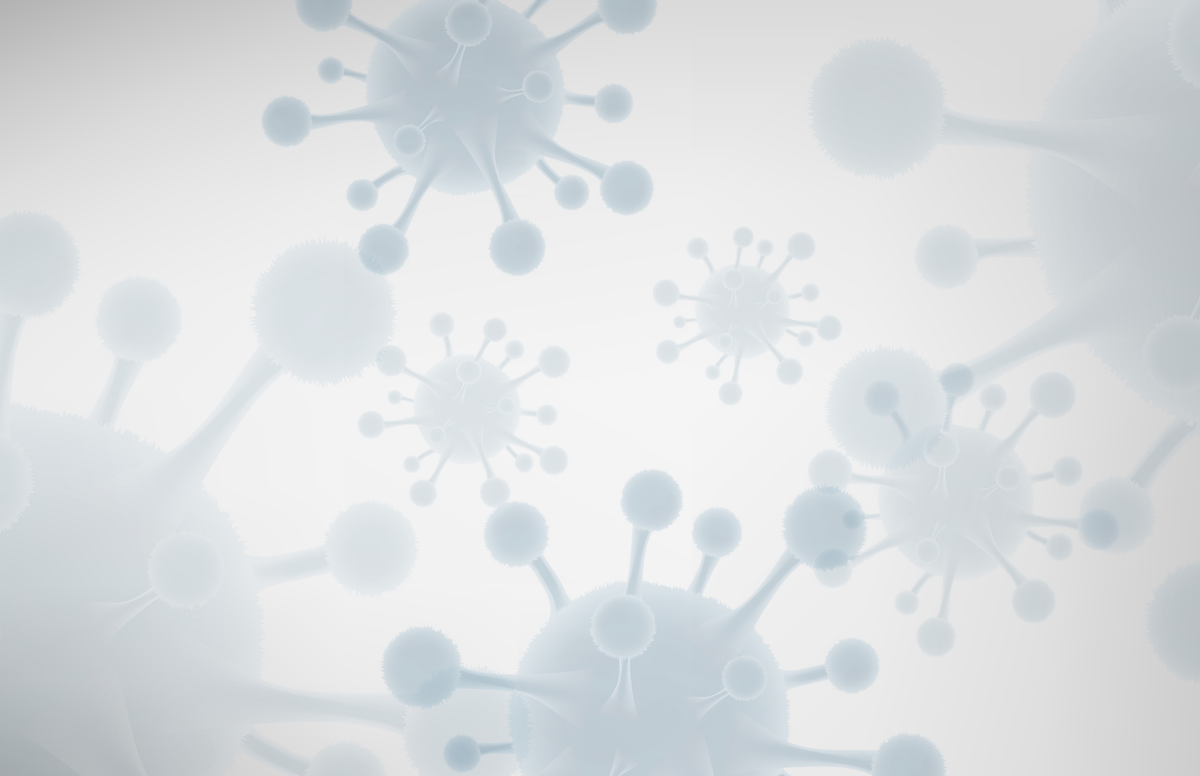 HPV Immune System: Why Immunity Matters More Than You Think After a Diagnosis