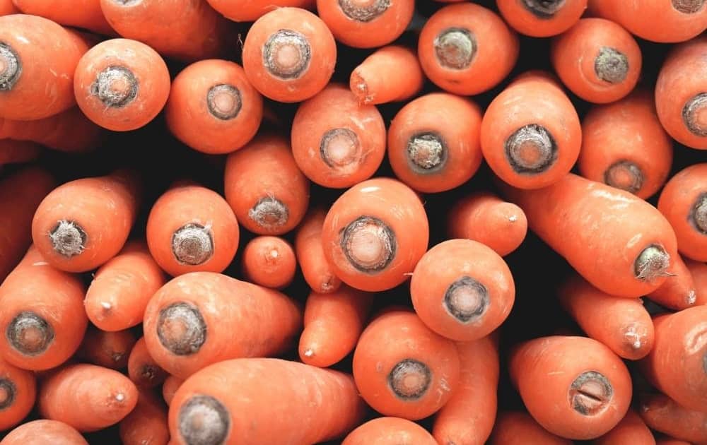 Mixed Natural Carotenoids vs. Synthetic Beta-Carotene for HPV: Why is this Distinction so Important?
