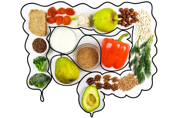 Why Healing the Gut Is the Key to a Healthy Immune System