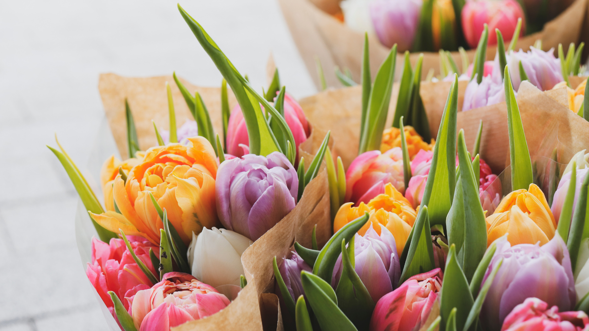 Spring Into Wellness: A Fresh Start for Happier and Healthier Hormones