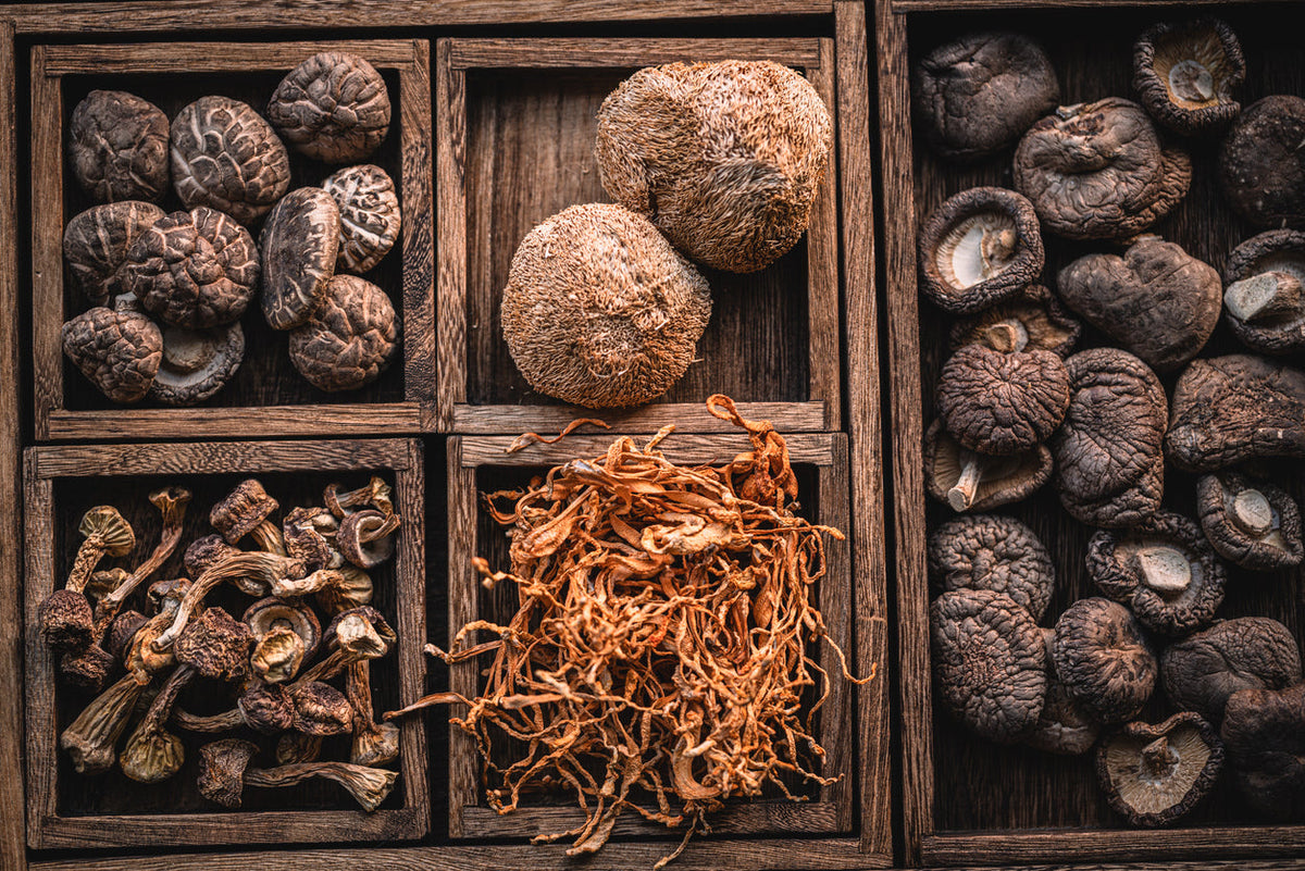 Shiitake Mushrooms: A Natural Immune System Powerhouse