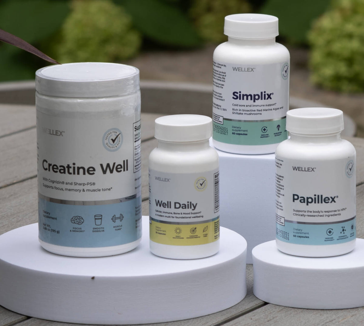 General Wellness