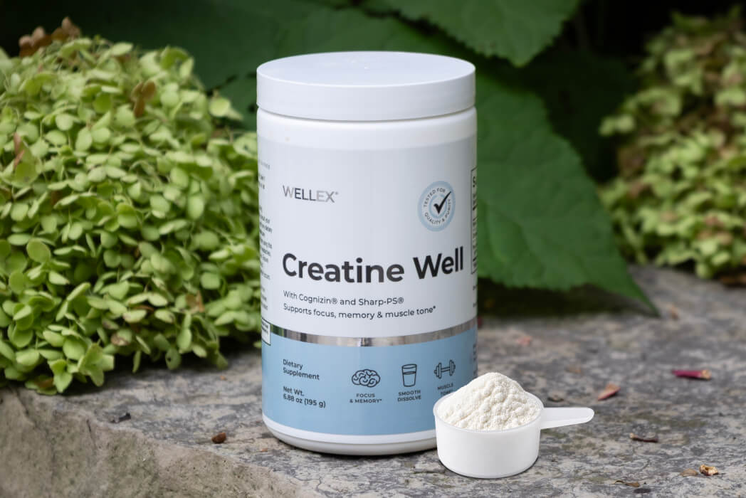 A white tub of Wellex Creatine Well dietary supplement powder sits on a stone surface outdoors, with a small white scoop of the powder in front and green hydrangea foliage in the background.