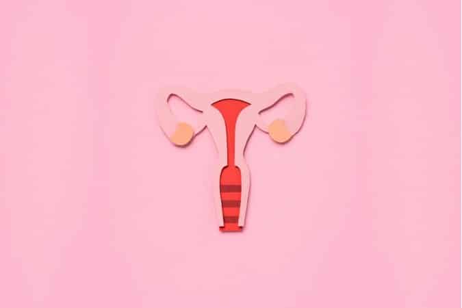 Cervix