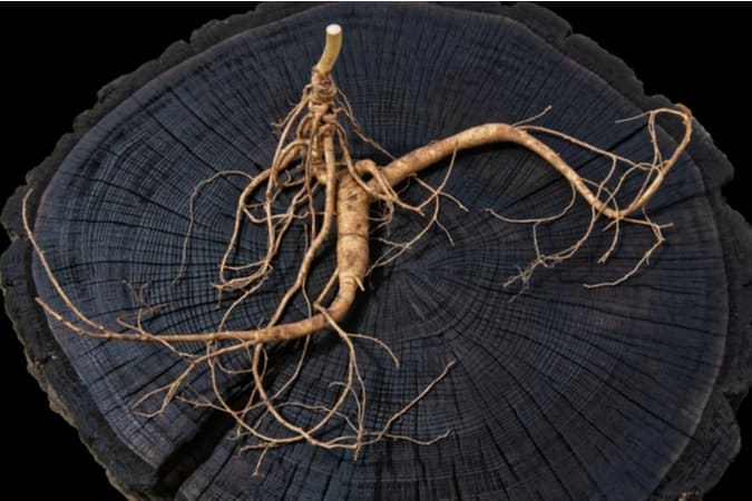 Korean Red Ginseng