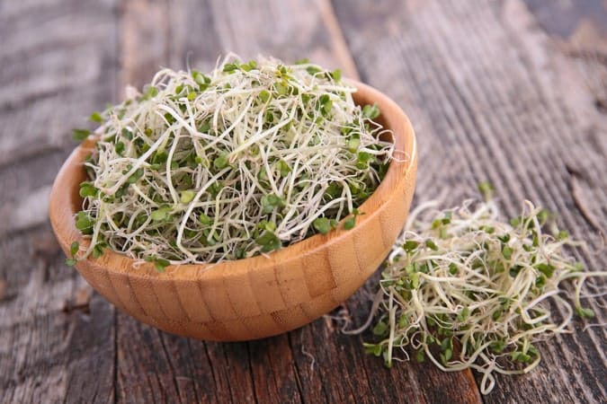 Broccoli Sprout Extract