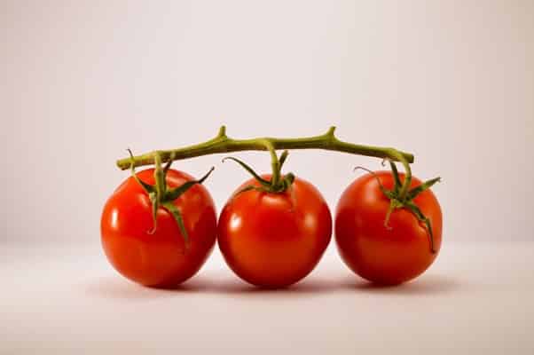 Tomatoes on the vine