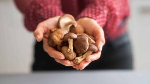 New Study Finds AHCC Supplementation Clears High-Risk HPV Infections