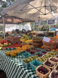 Outdoor farmers market stand filled with fresh seasonal produce including grapes, tomatoes, bananas, melons, and vegetables displayed in baskets and wooden crates under white tents.