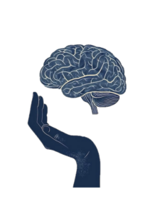 Illustration of a human brain floating above an open hand, symbolizing brain health, cognitive function, memory, focus, and neurological support. The brain and hand are depicted in a minimalist navy-blue style against a white background.