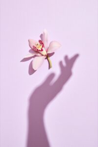 A delicate pink orchid rests against a soft lavender background, casting a graceful shadow of a reaching hand. The minimalist composition symbolizes hope, healing, resilience, and gentle support.