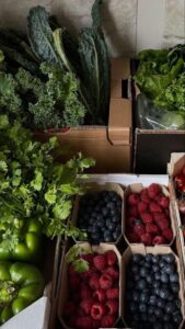 Assortment of fresh produce in market boxes, including kale, leafy greens, cilantro, green peppers, blueberries, and raspberries.